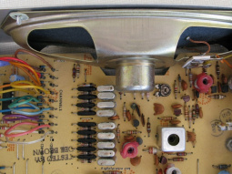 Speaker