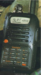 Front view
